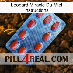Léopard Miracle Du Miel Instructions 06
